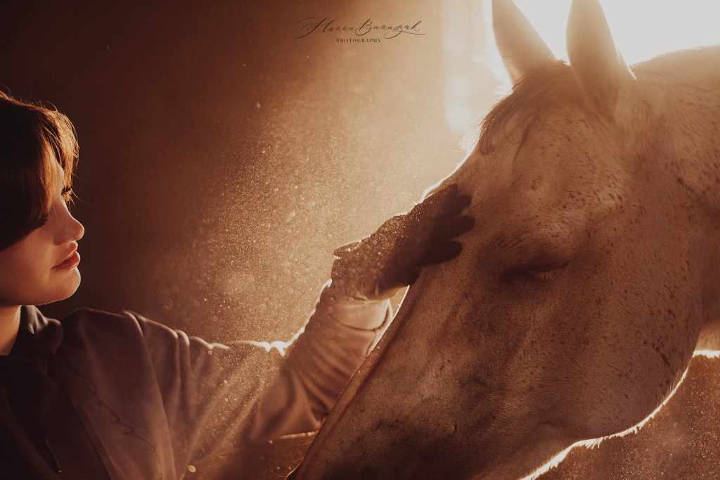 Dusty photoshoot in a&nbsp;Stable