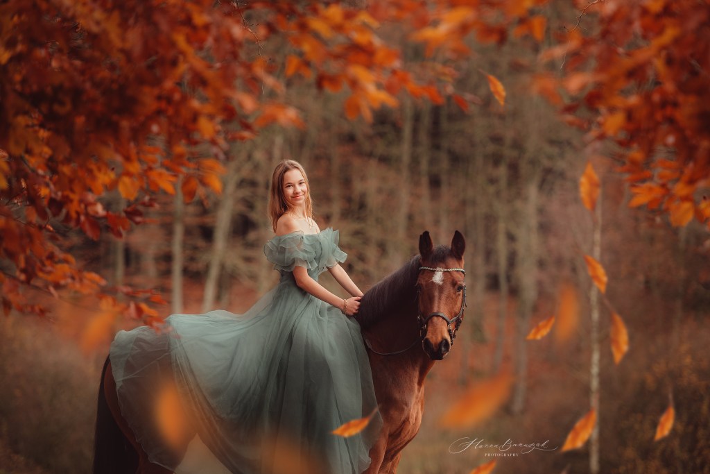 Autumn cute photos with horses and&nbsp;cows